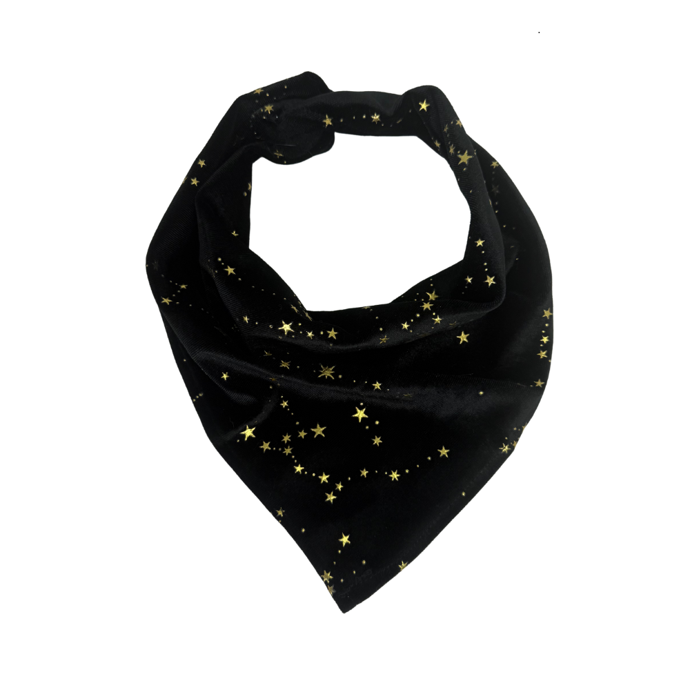 Velvet star dog bandana