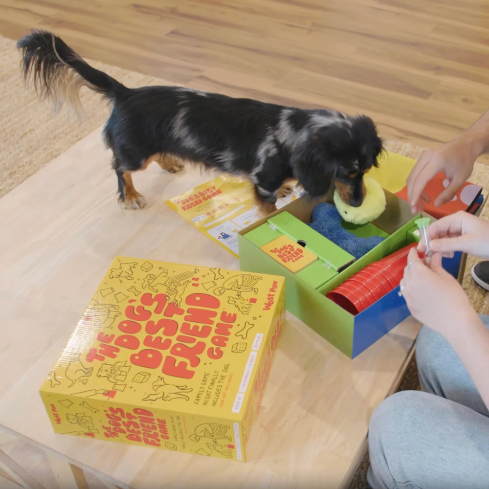 West Paw dog's best friend interactive board game