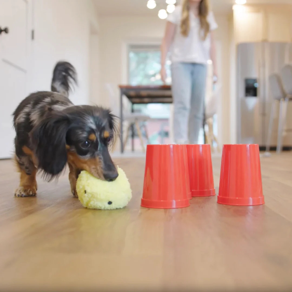 West Paw dog's best friend interactive board game