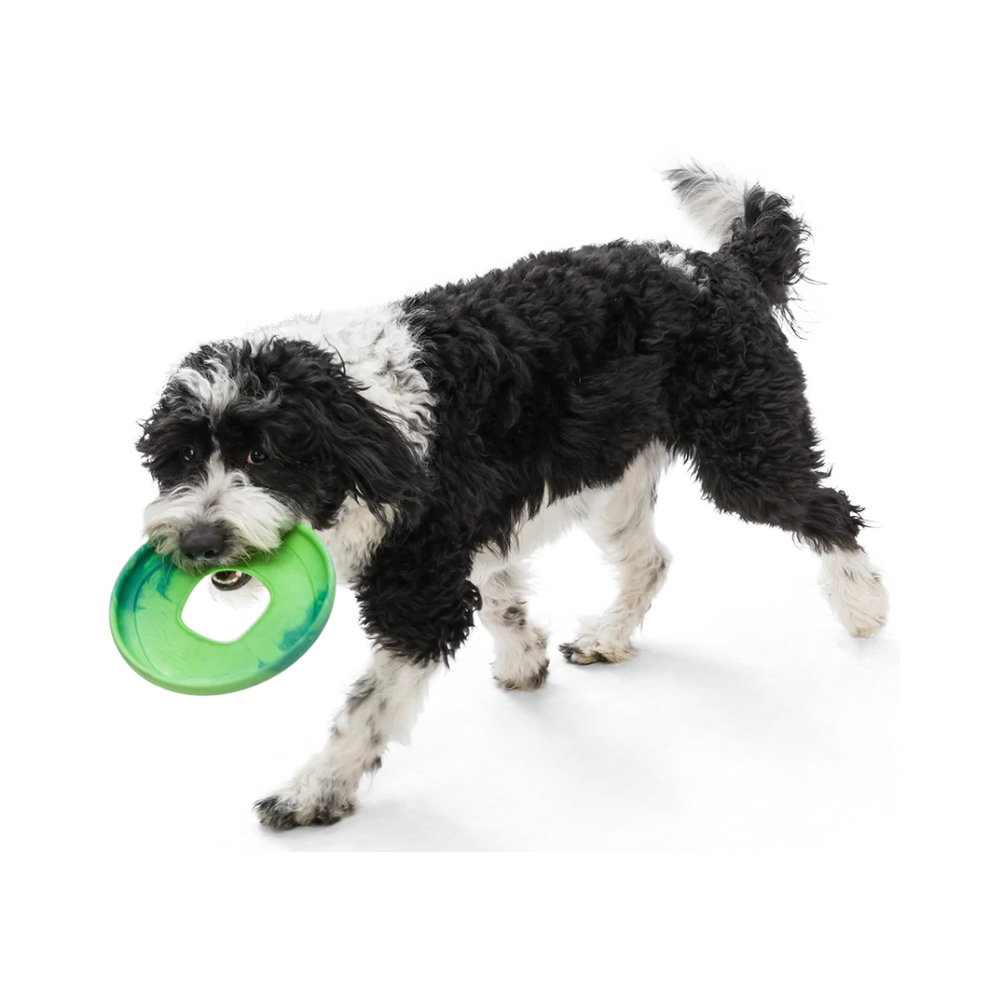 West Paw Zogoflex sailz dog frisbee - Emerald