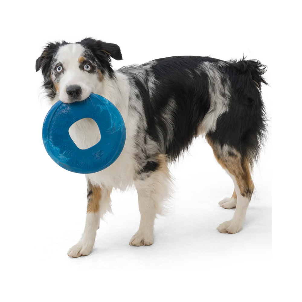 West Paw Zogoflex sailz dog frisbee - Surf