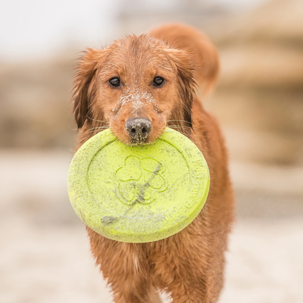 West Paw Zogoflex zisc dog frisbee - green