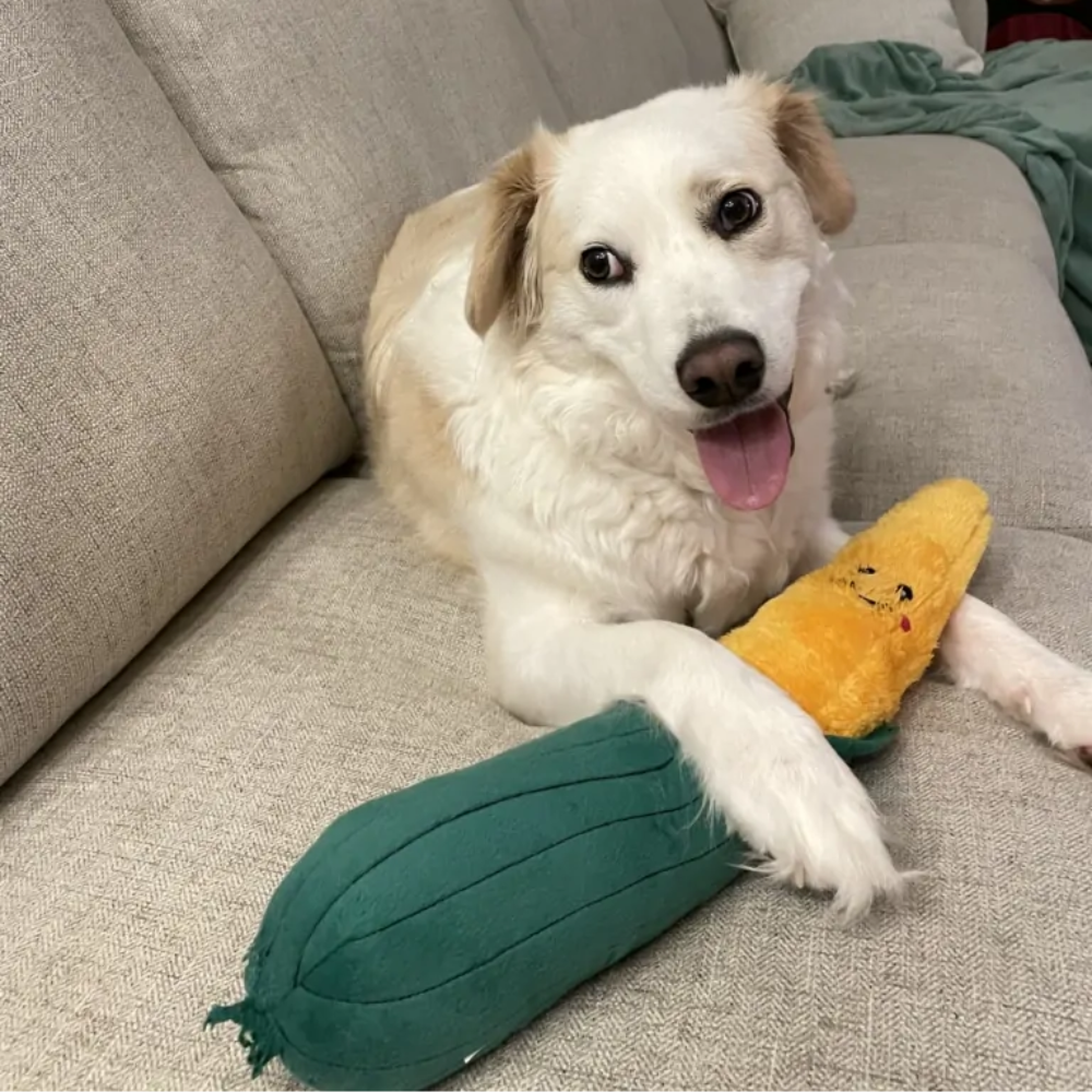 Zippy Paws Jigglerz corn dog toy