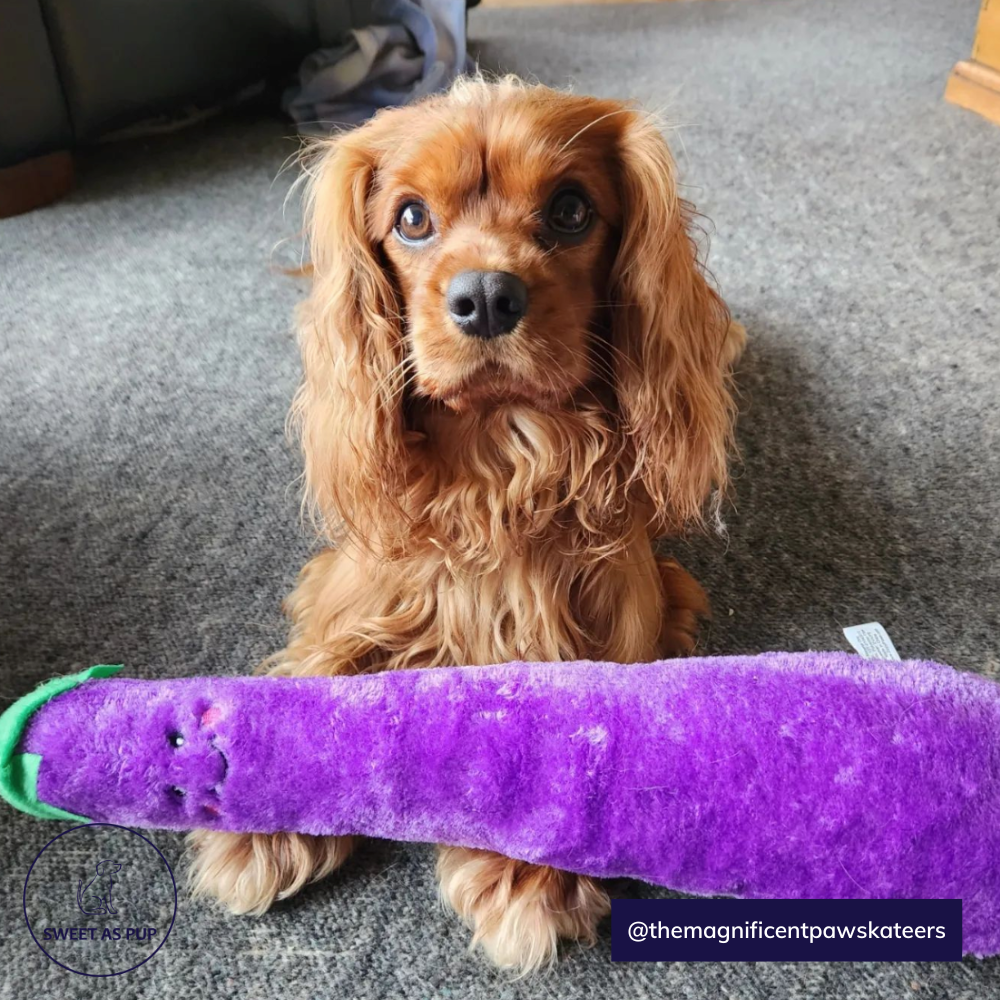 ZippyPaws Jiggelrz Eggplant dog Toy