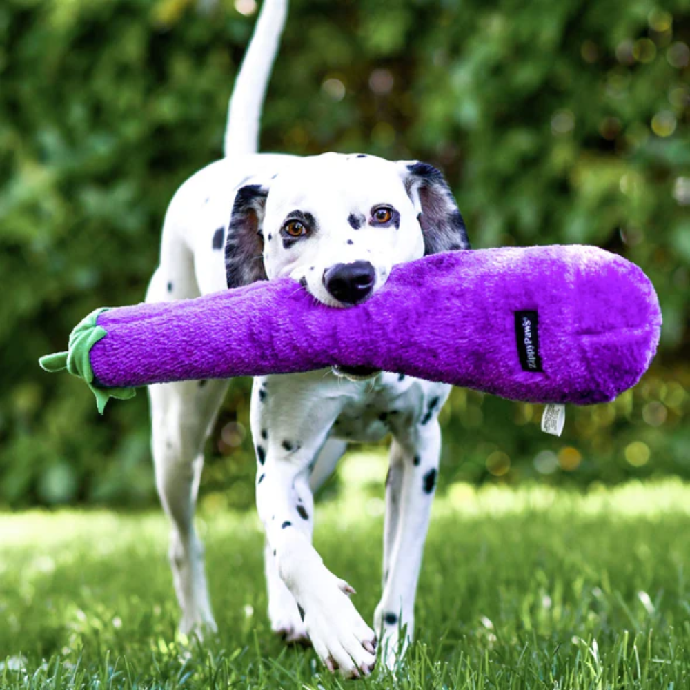 Zippy Paws Jigglerz eggplant dog toy