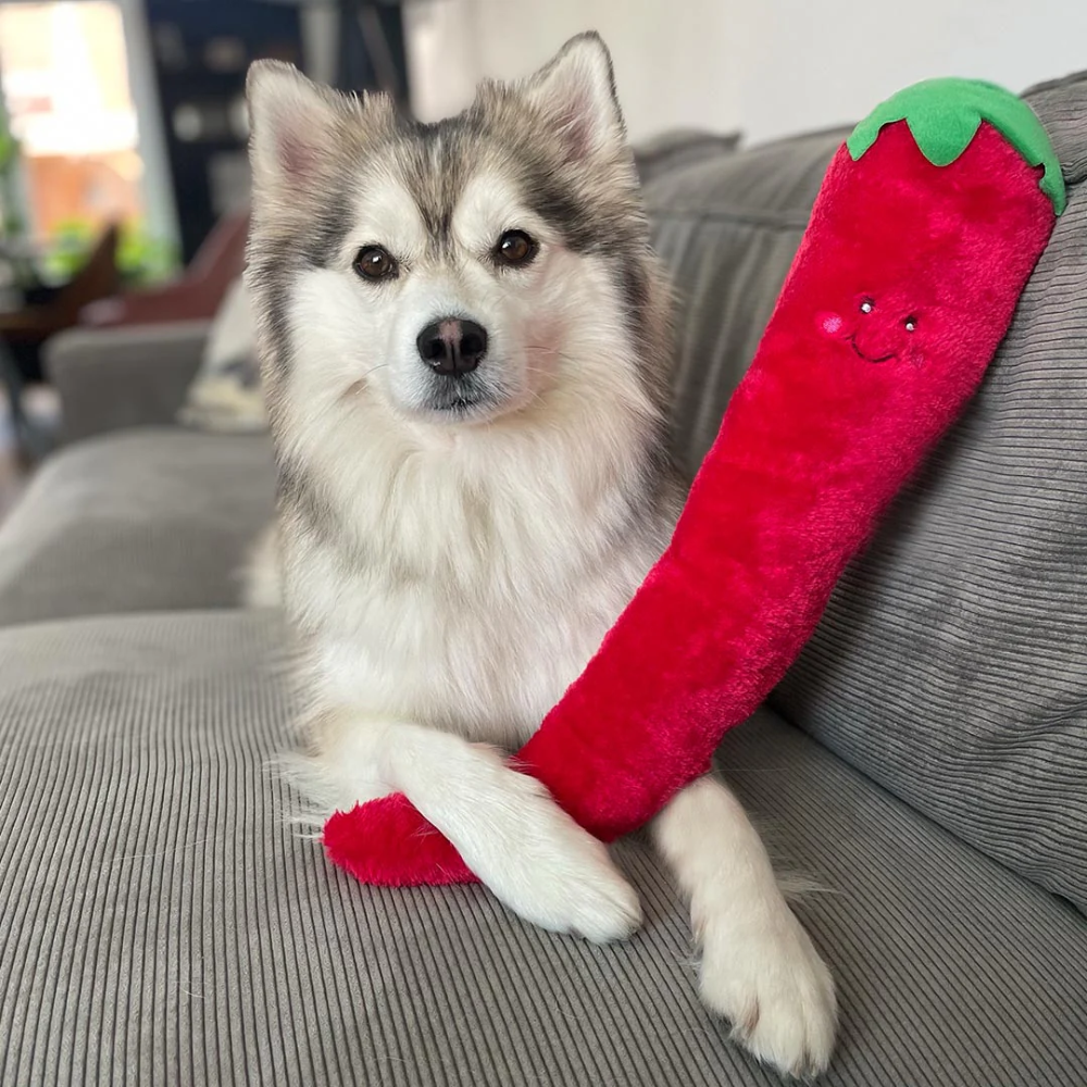 Zippy Paws Jigglerz pepper dog toy