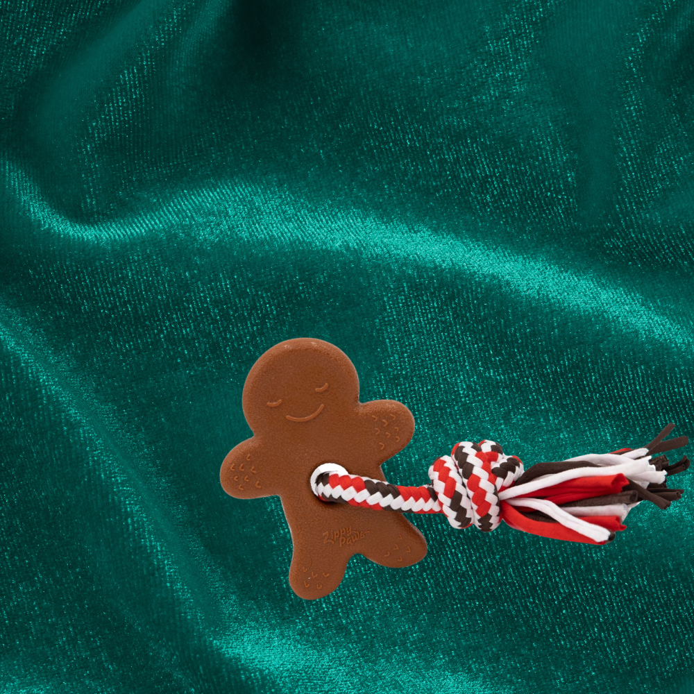 Zippy Paws ZippyTuff Teetherz Gingerbread Man dog toy