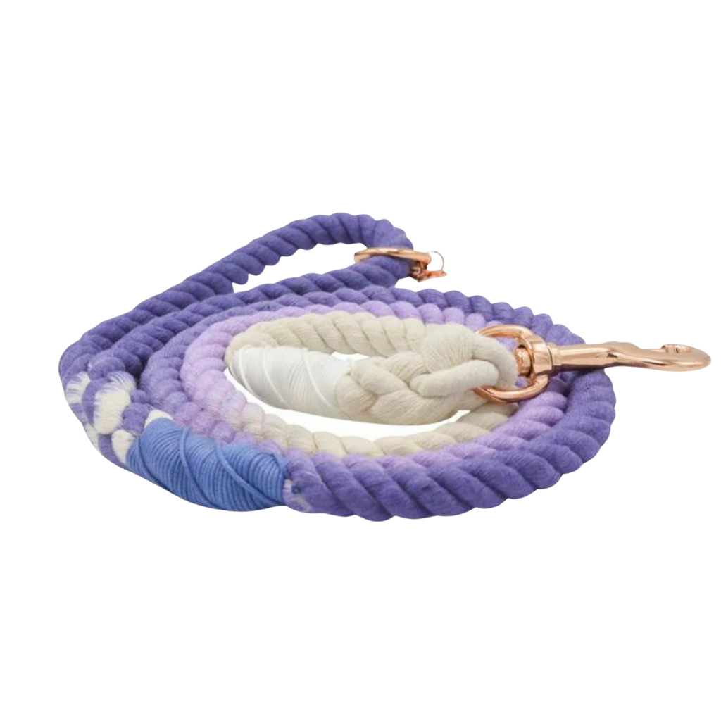 Sassy Woof dog rope leash - Ombre Purple
