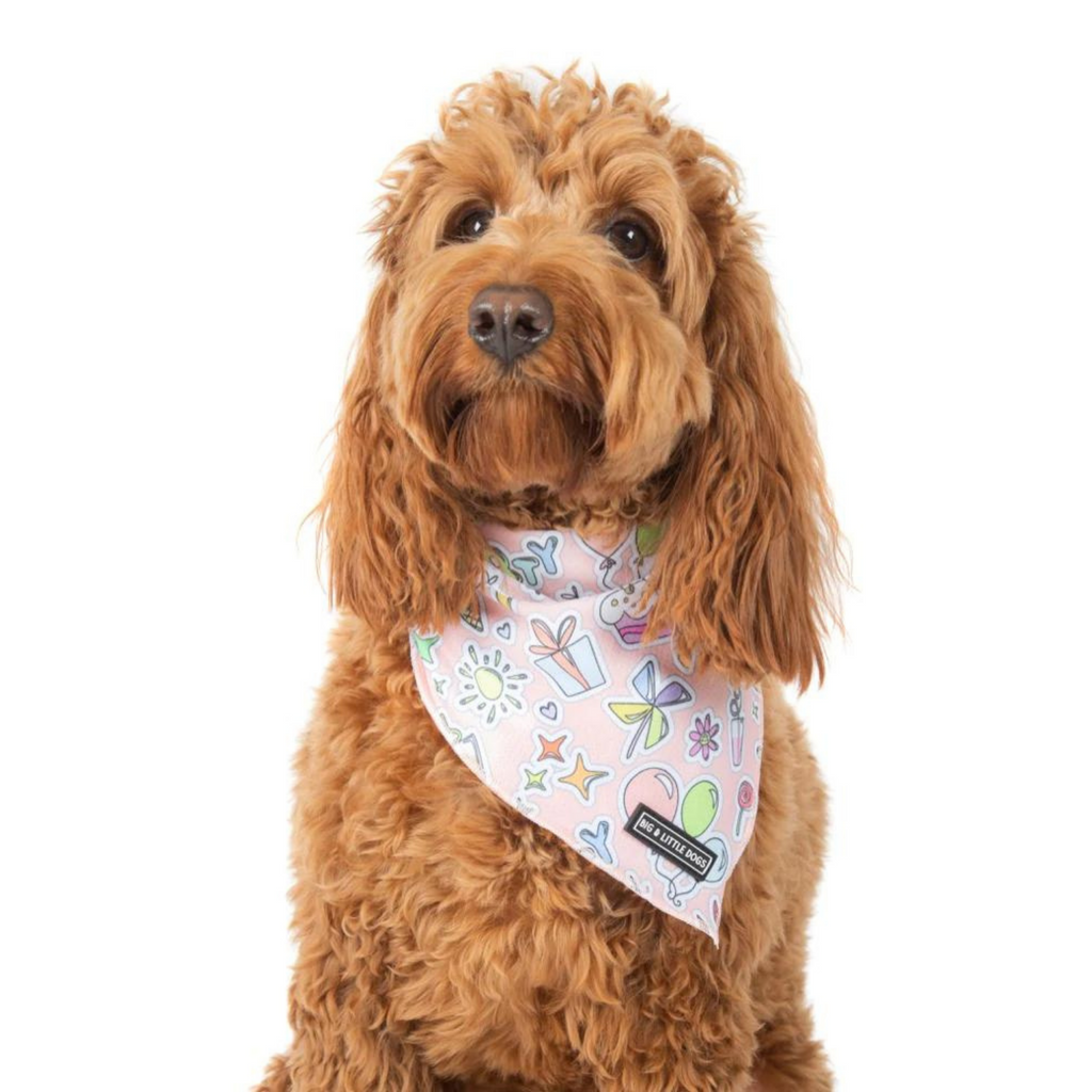 Big and Little Dogs bandana - Birthday party vibes