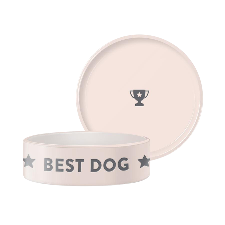 Fringe Studio best dog ceramic bowl