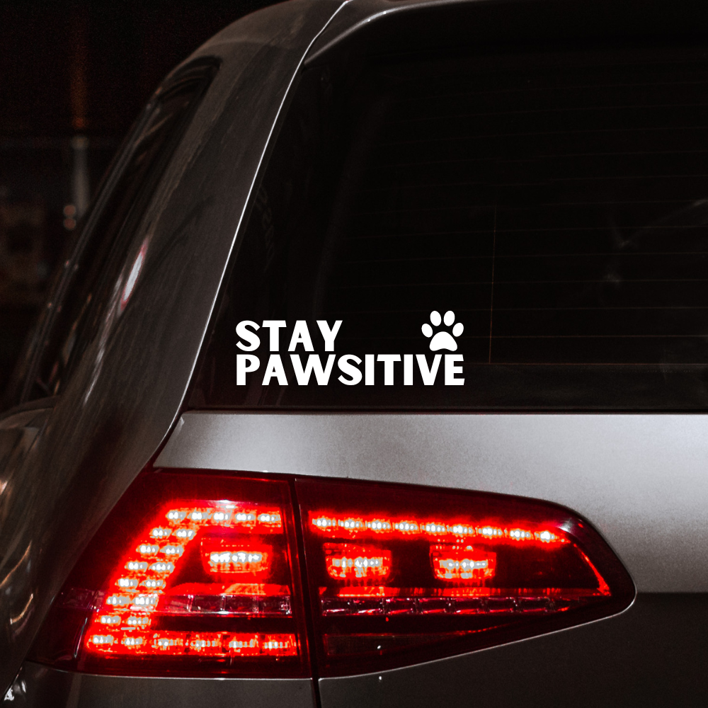 Stay pawsitive car decal