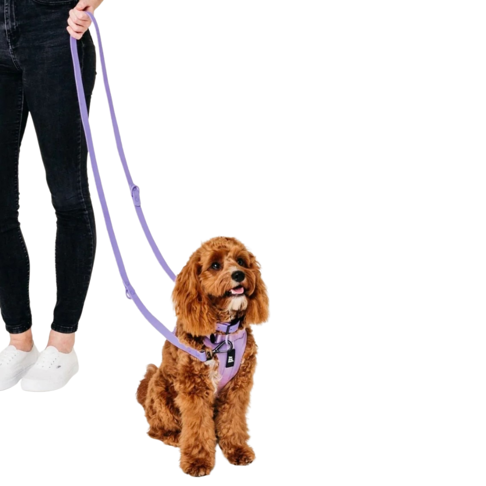 The Dog Mum multi-function waterproof dog leash