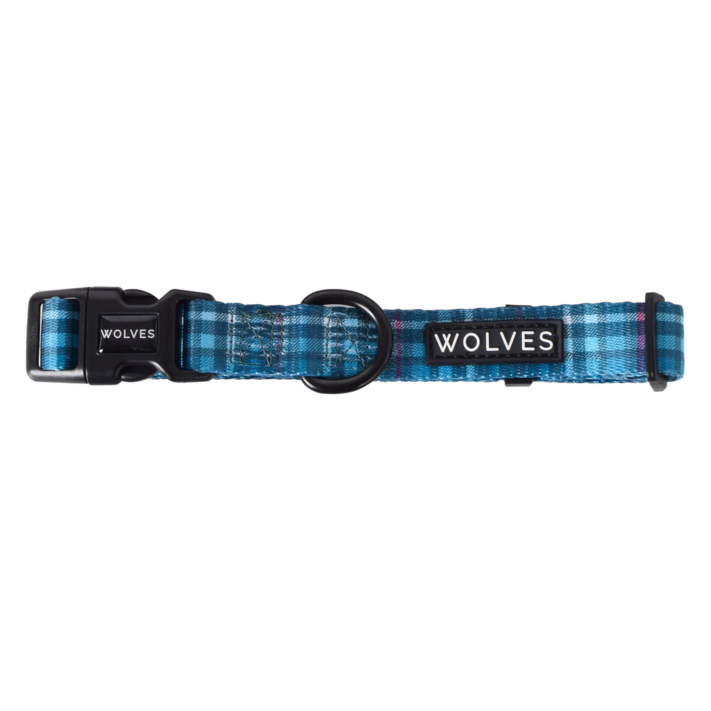 Wolves of Wellington dog collar - lochie