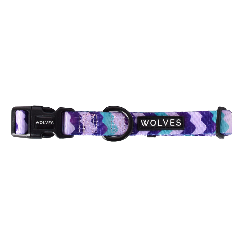 Wolves of Wellington dog collar - sulley