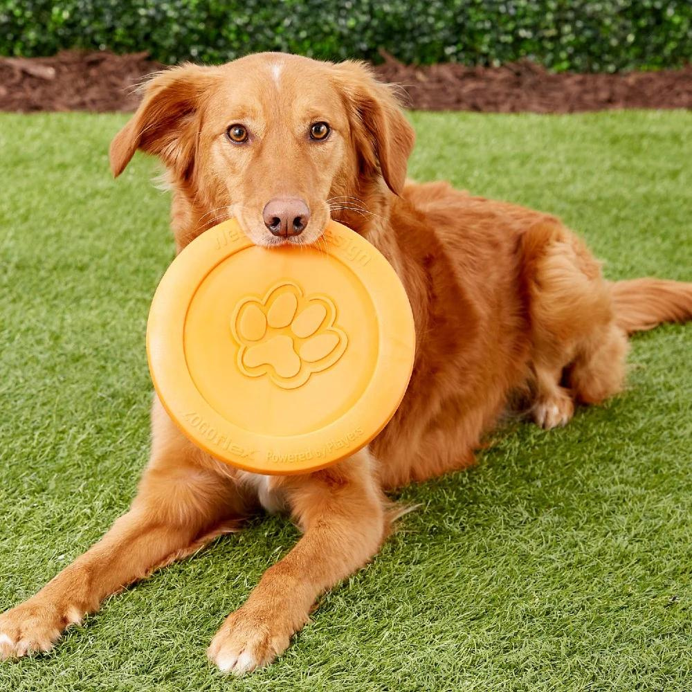 West Paw Zogoflex zisc dog frisbee