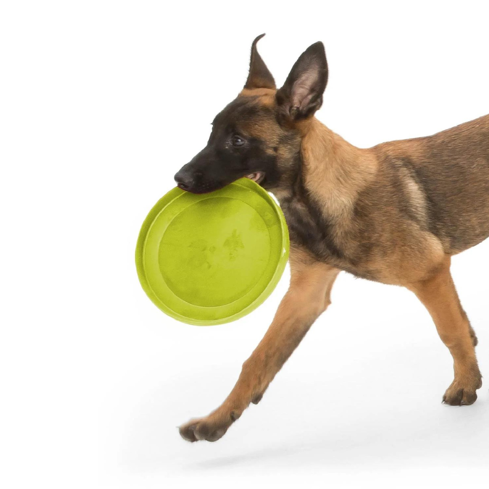 West Paw Zogoflex zisc dog frisbee