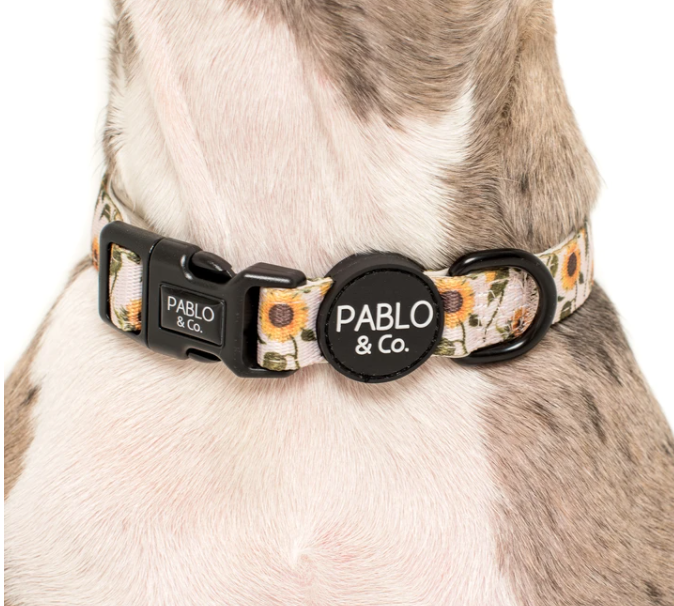 Pablo and Co dog collar - Sunflowers