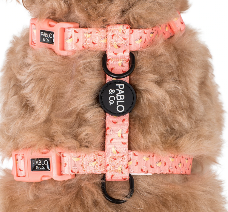 Pablo and Co Strap harness - Spicy margarita