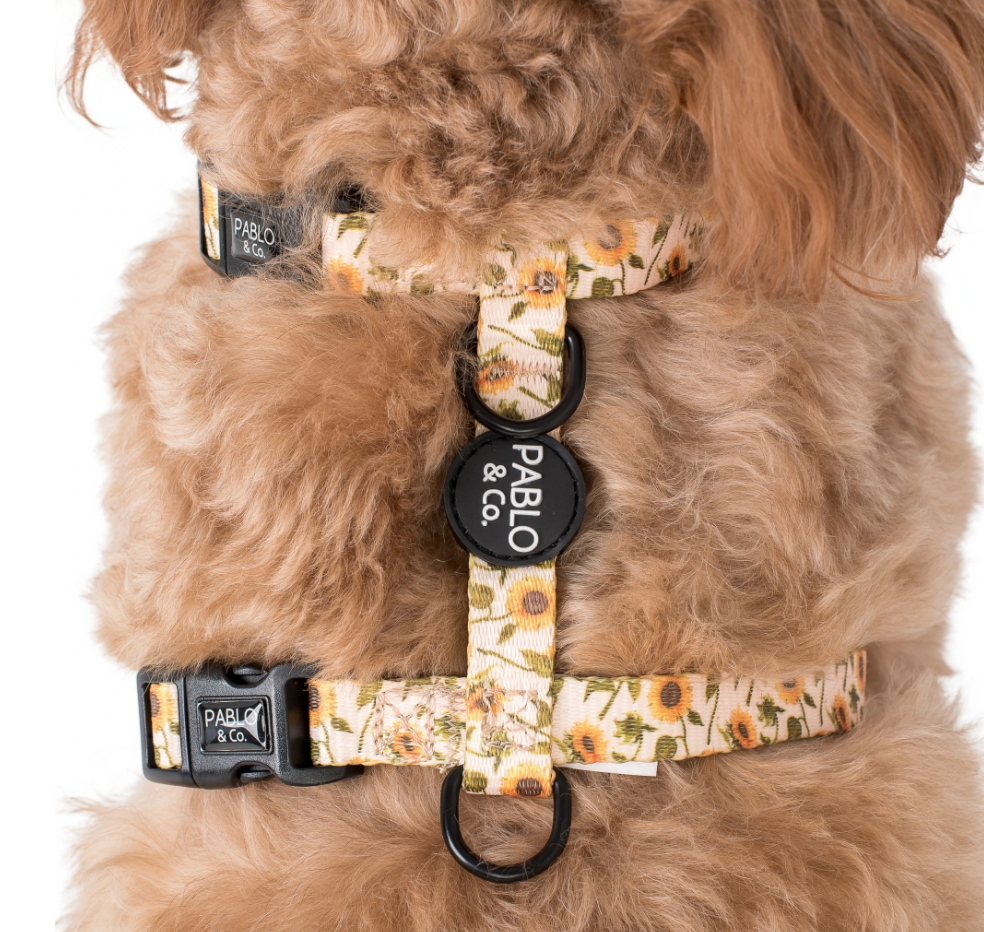 Pablo and Co Strap harness - Sunflowers