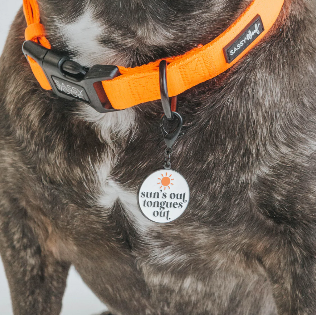 Sassy Woof dog collar tag - Sun's out, tongue's out