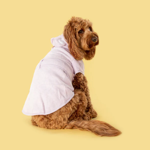 Big and Little Dogs dog bath robe - lavender