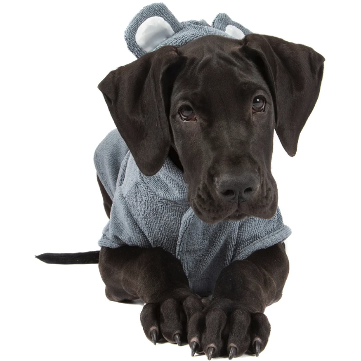 Big and Little Dogs dog bath robe - charcoal