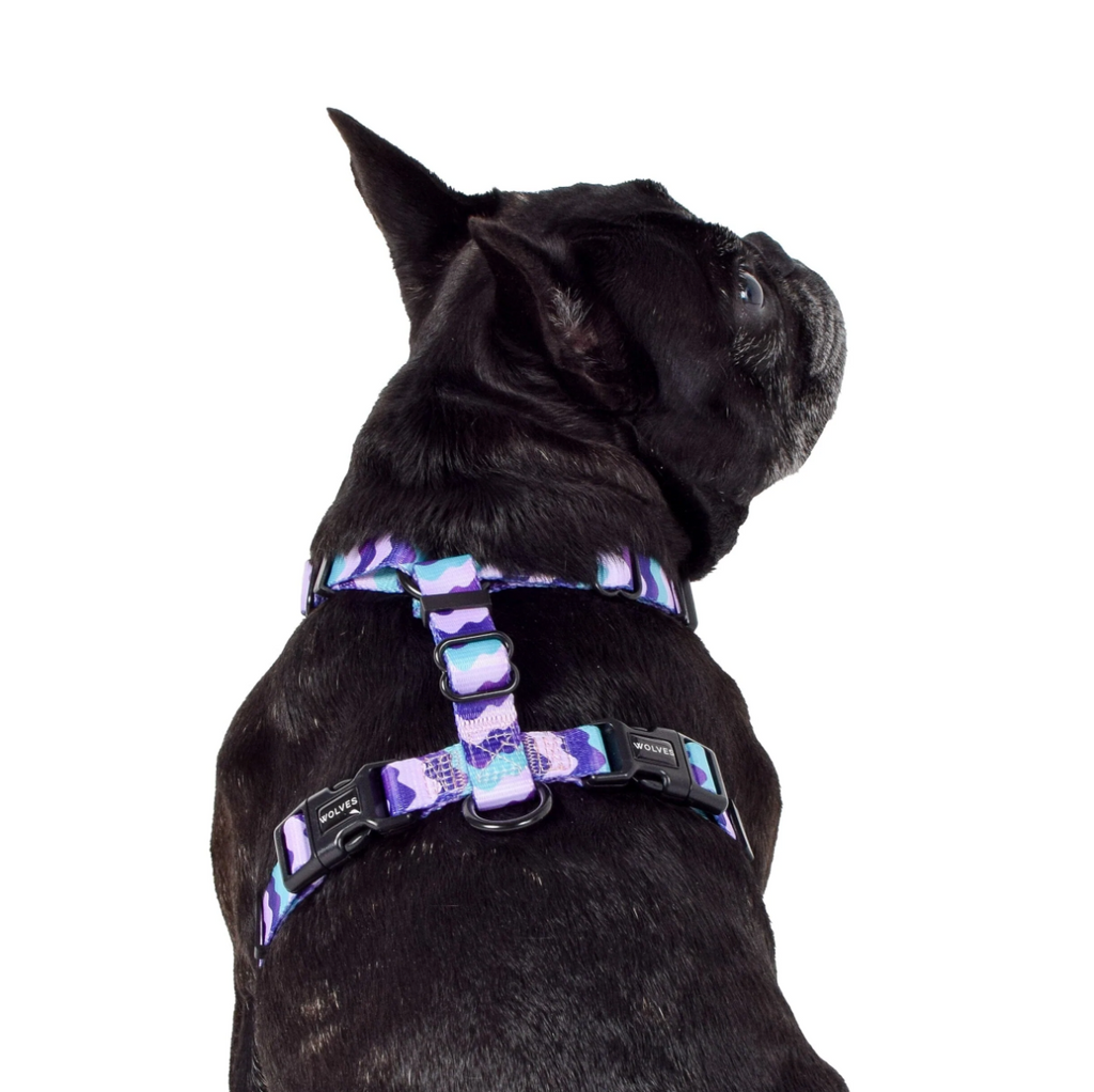 Wolves of Wellington all-purpose dog harness - Sulley