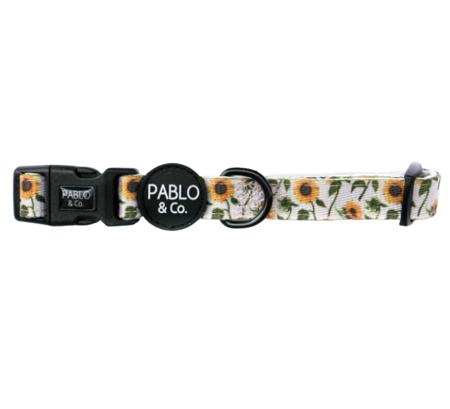 Pablo and Co - Collar - Sunflowers