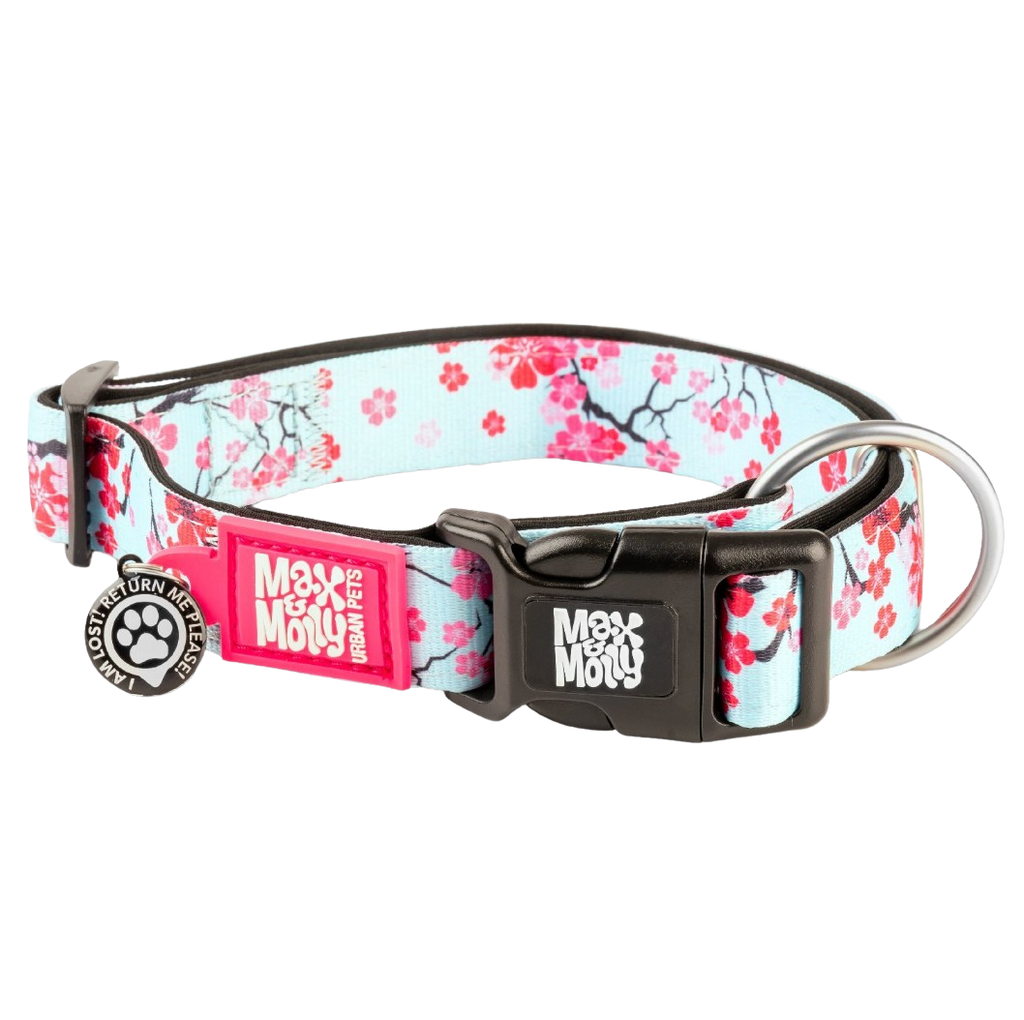 Max and Molly dog collar - Cherry bloom