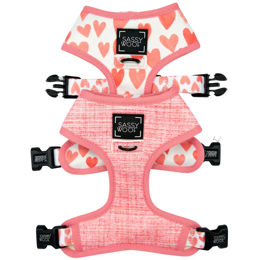 Reversible harness - Dolce rose - Sweet As Pup