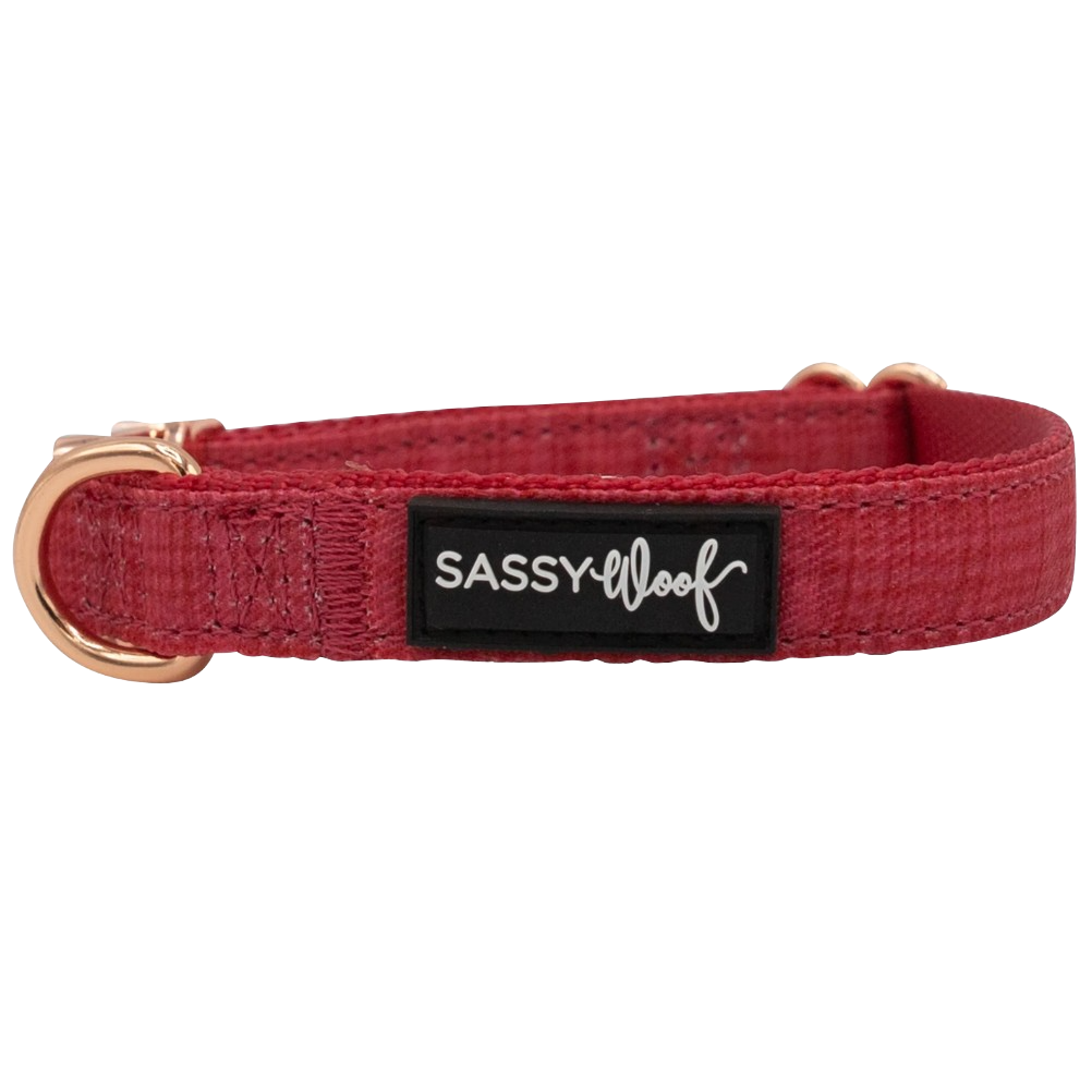 Sassy Woof dog collar - Merlot