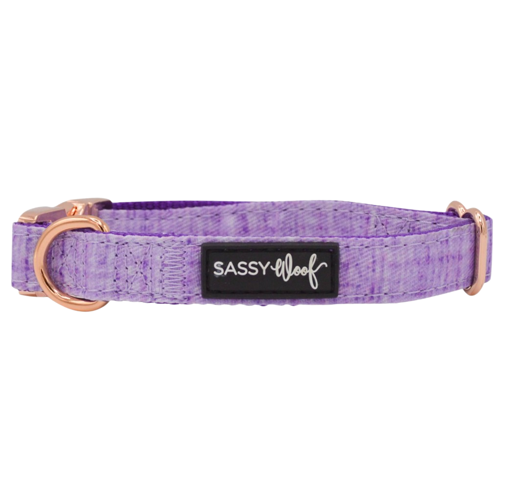 Sassy Woof dog collar - aurora