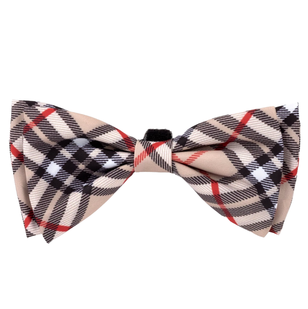 The Worthy Dog bias plaid bow tie - Tan