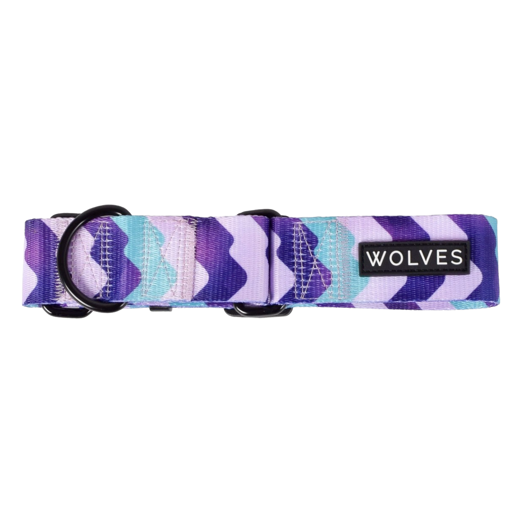 Wolves of Wellington greyhound collar - sulley