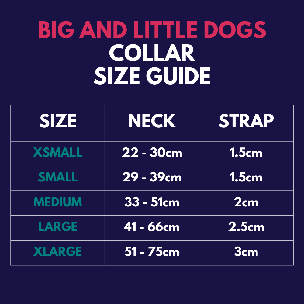 Big and Little Dogs collar size guide