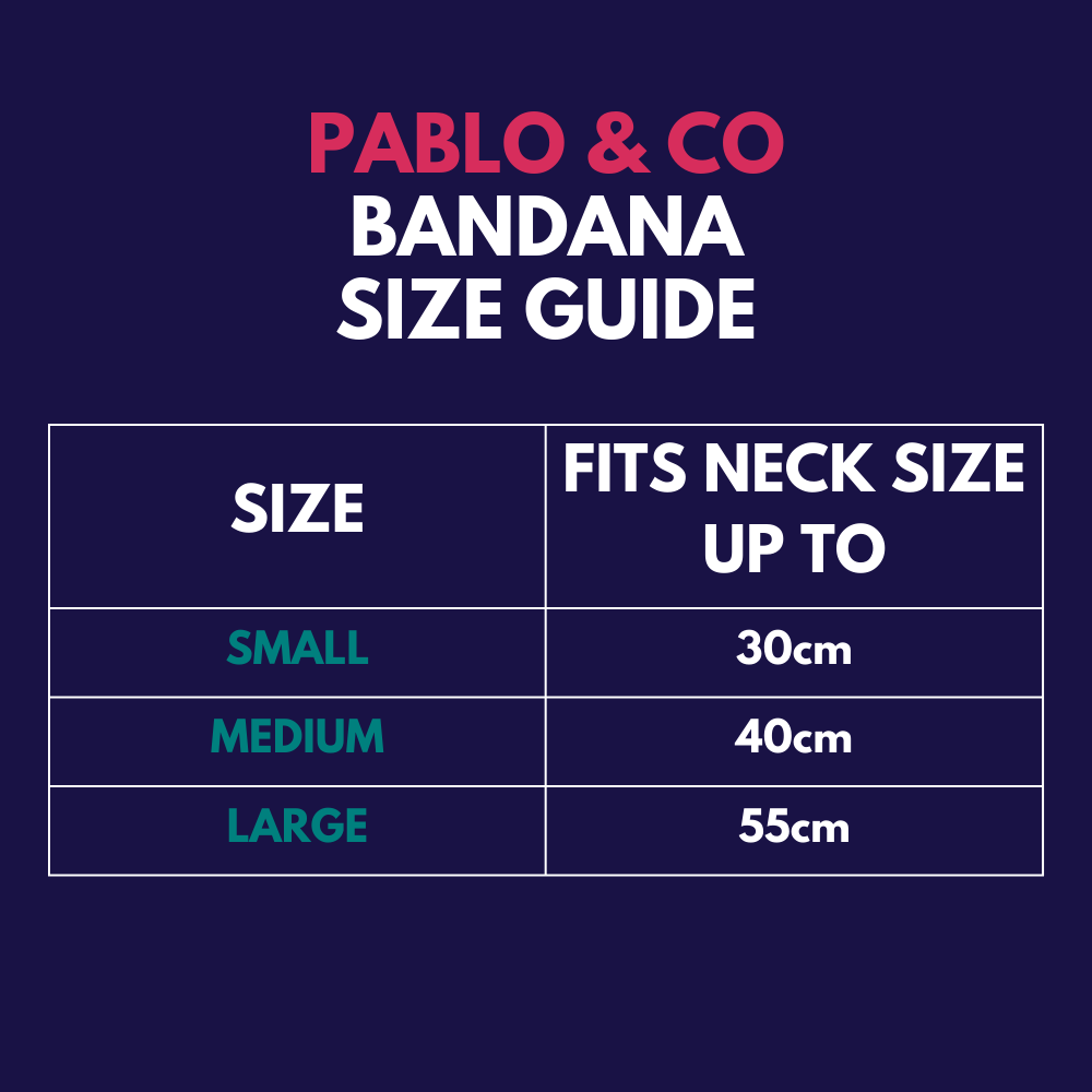 Pablo and Co dog bandana - Size guide