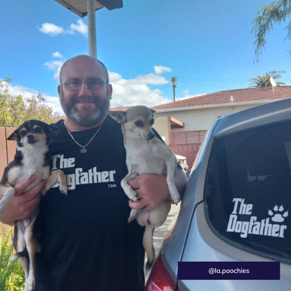 The dogfather decal - Chihuahuas