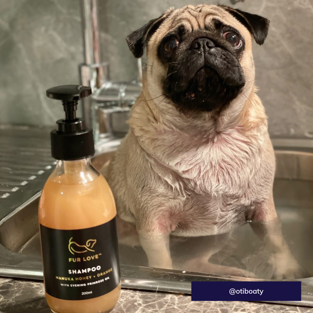 Fur Love dog shampoo
