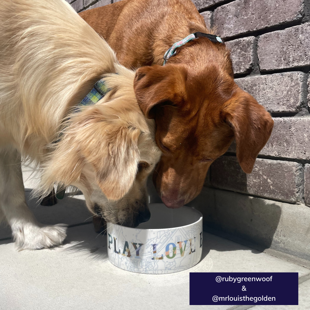 Bowl - Eat play love - Sweet As Pup