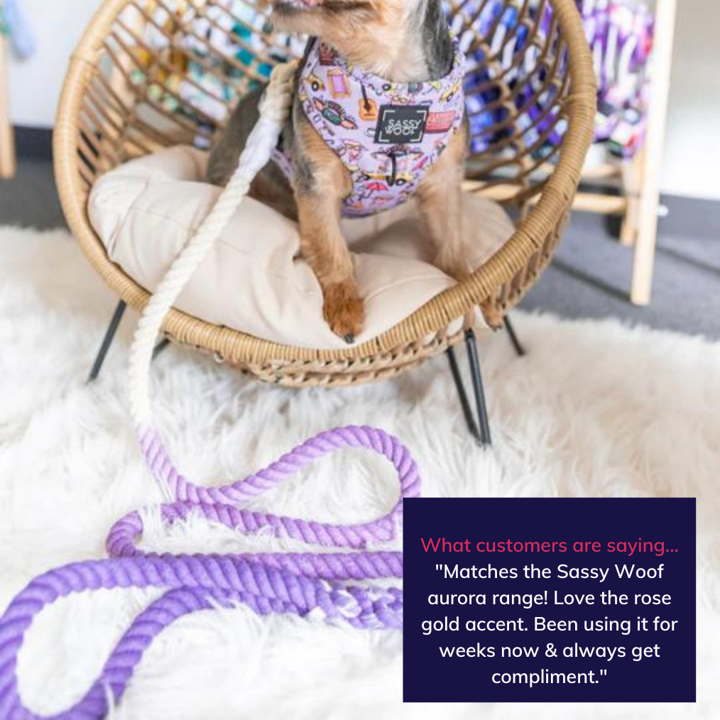 Sassy Woof dog rope leash - Ombre Purple