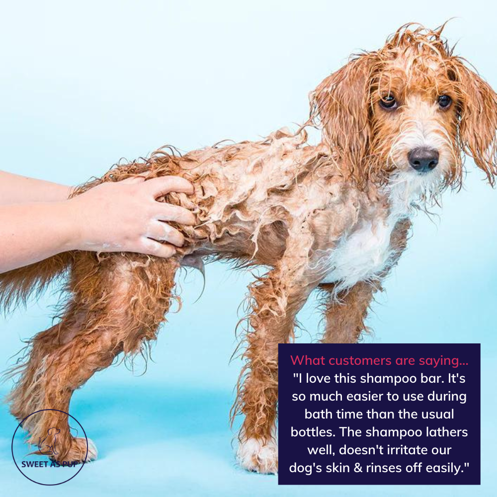 Ethique Shampooch Unscented Solid Dog Shampoo bar