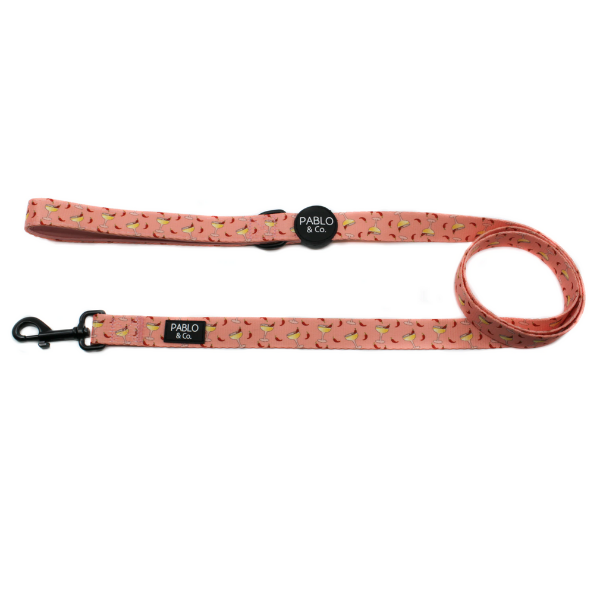 Pablo and Co dog leash - spicy margarita