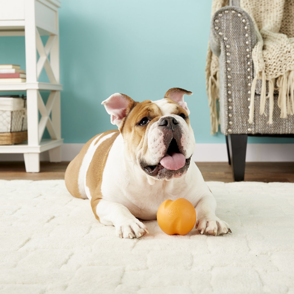 West Paw Zogoflex jive dog ball - orange