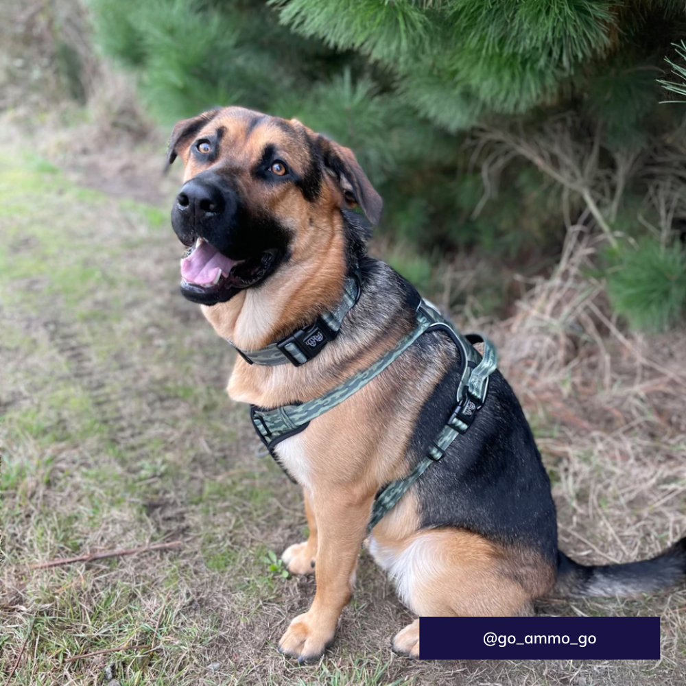 Big & Little Dogs all-rounder harness - Camouflaged