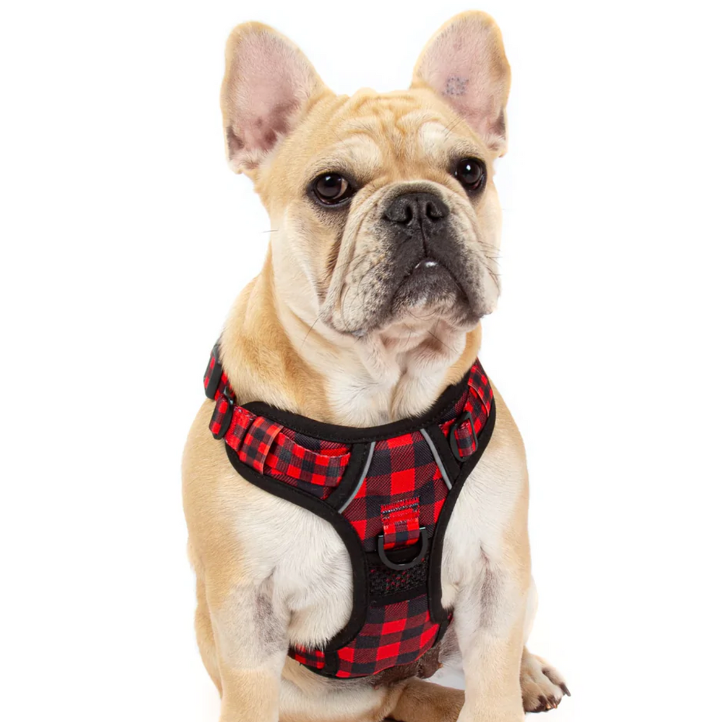 Big & Little Dogs all-rounder harness - Plaid to the bone