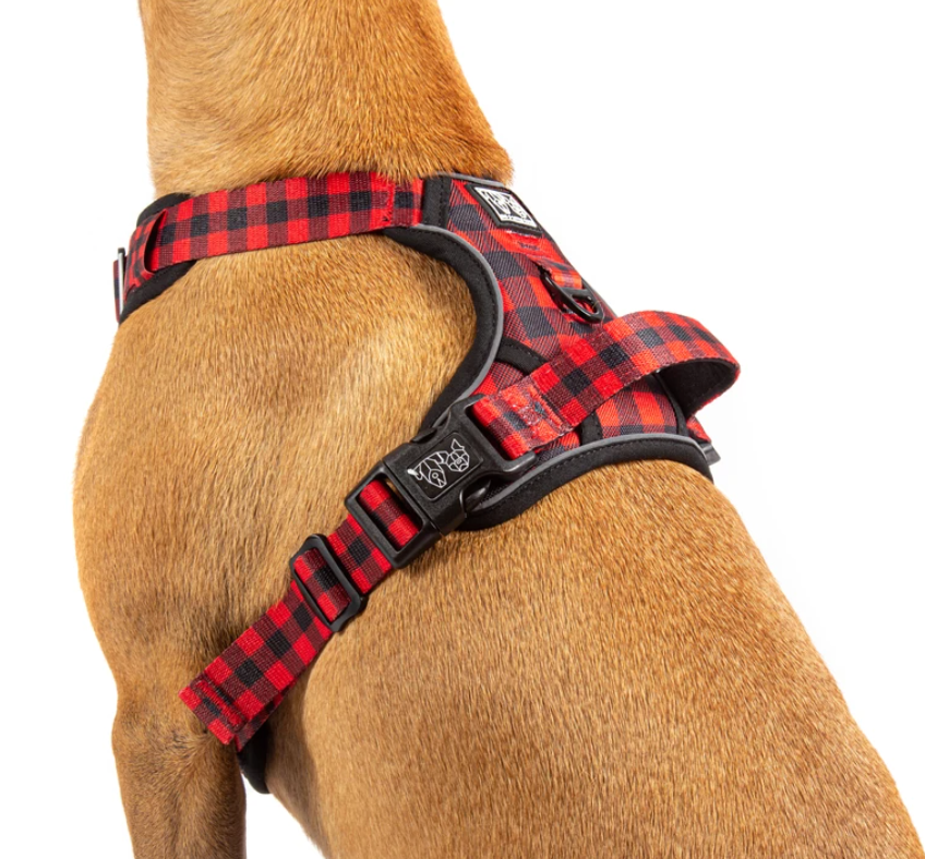 Big & Little Dogs all-rounder harness - Plaid to the bone