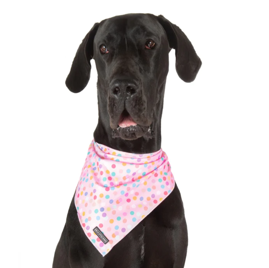 Big and Little Dogs bandana - Pink confetti