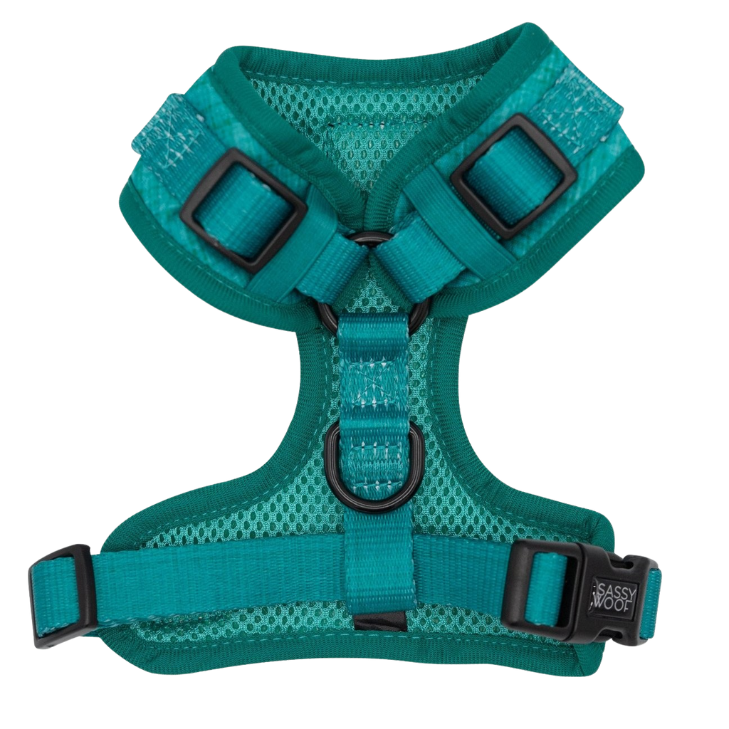 Sassy Woof adjustable dog harness - Napa