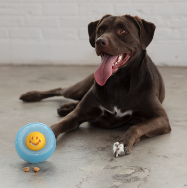 Planet Dog orbee-tuff nook dog ball - happiness