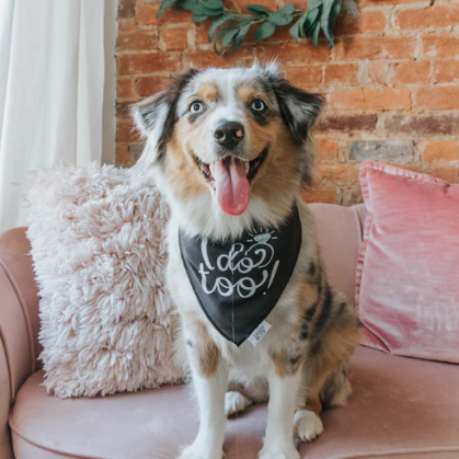 Sassy Woof dog wedding bandana - I do too